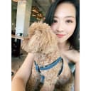 Siri 熙芮|希塔陪練祭司