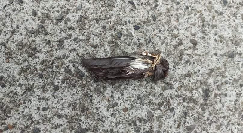 1efdc712-5d44-4930-b893-c7cce89df68a.jpg 1efdc712-5d44-4930-b893-c7cce89df68a.jpg